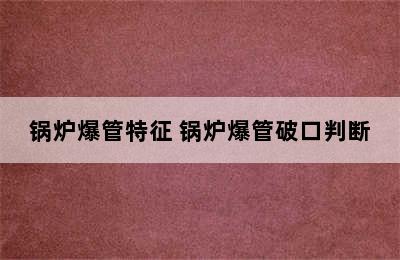 锅炉爆管特征 锅炉爆管破口判断